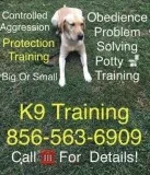 We offer to train your dog