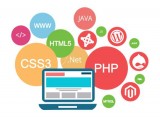 Bring Your Business Online - Hire Leading Web Design Company in 