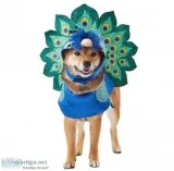 Peacock Dog and Cat Costume Small