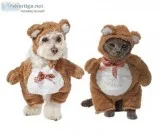 Teddy Bear Dog and Cat Costume