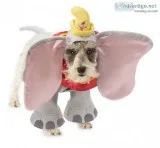Dumbo Dog Costume