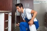pest control in delhi ncr Controll all insect harm