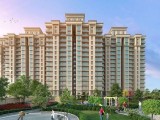 Shapoorji Pallonji Sewri Special and Project buy offering Elite 