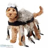 Spider Dog and Cat Costume