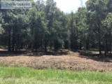 Gorgeous 1.25 acres in Okeechobee