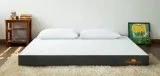 Best orthopedic foam mattress in India