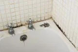 Mold Removal Panama City