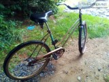 ANTIQUE MURRAY MONTEREY