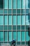 Window Cleaning
