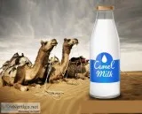 How To Buy Better Quality Camel Milk Online