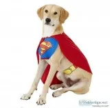 Classic Superman Dog and Cat Costume