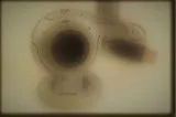 Microsoft LifeCam VX-6000 Webcam Great Quality JUST 8