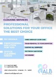 Professional office cleaner