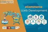 Best Ecommerce Website Development Company in USA  Call Now 954-