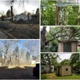 Tree Trimming and Removal Services