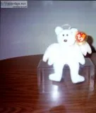 Halo - Bear