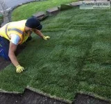 Sod Laborer Wanted