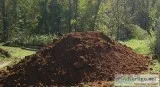free place to dump unwanted dirt