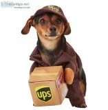 UPS Delivery Driver Dog Costume
