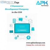 Top E Commerce Development Company in the USA