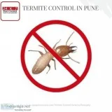 Best Termite Control Services in Pune
