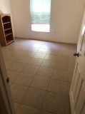 22 apartment looking for roommate