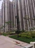 Lavish Ready to move-in 2 and3BHK Homes in New Delhi at DLF Capi
