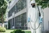 Pest Control Company in Gurgaon