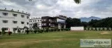 What after successfully completing BBA