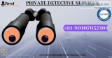 Which Organaisation offers Comprehensive Detective Agency in Del
