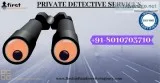 Which Organaisation offers Comprehensive Detective Agency in Del