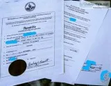 NYC CORPORATION DOCUMENT EXPRESS APOSTILLE SERVICES