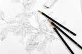 Pencil drawing