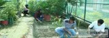 BSc Agriculture &ndash Scope and Career Opportunities in India