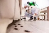 Mosquito Control Services