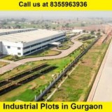 Reliance Industrial Plots