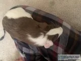 Looking for a new home