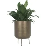 Looking for pots for you home and gardern decore 