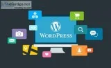 Professional Website Designers In Hyderabad  Digital Surya