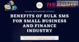 Benefits of Bulk SMS for Small Business and Finance Industry  AI