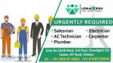 Best Job Consultant Company in Zirakpur  Lokaljobs