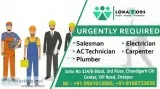 Best Job Consultant Company in Zirakpur  Lokaljobs