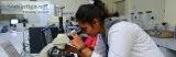 Best Colleges for Biotechnology Engineering - NIET Greater Noida