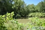 Texas Hunting and Recreational Land Auction