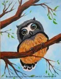 Sacramento Studio 830 Baby Owl  End of Summer Special  10 OFF  A