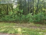 Lot about 20 min. north of IAH-Splendora-no restrictions