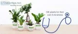 Finest artificial plant - Greenery by Doctor Plant