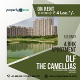 4 BHK Apartment in DLF The Camellias   4 BHK Apartment for Rent 