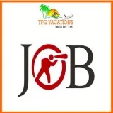 A Once in a Lifetime Job For You
