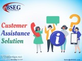 eBSEG customer assistance solution